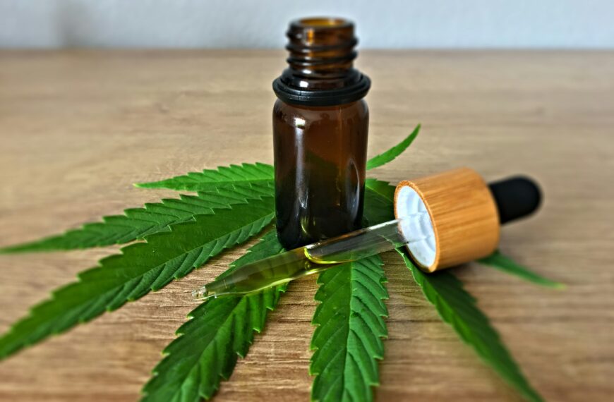 CBD Oil for Dogs Dose Calculator: Finding the Right Amount for Your Furry Friend